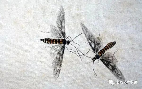 齐白石笔下的飞虫100幅,精细之极!