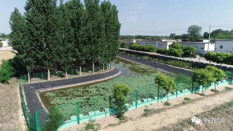 武邑全力改善农村人居环境建设美丽宜居新乡村