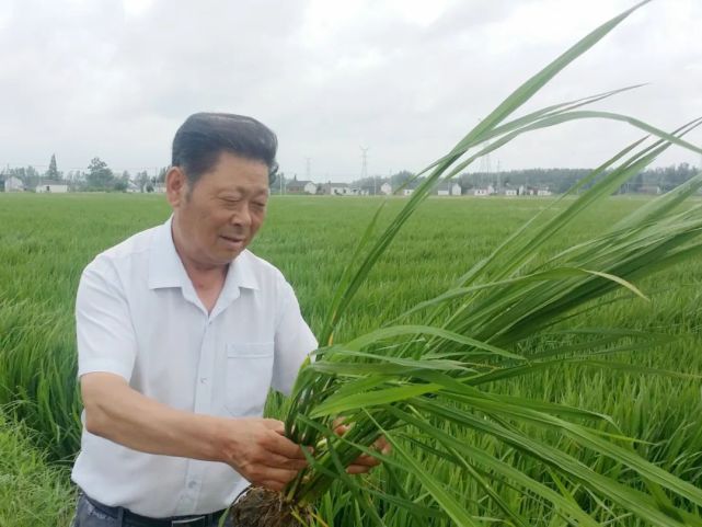 建湖这12人在省里出名了这次因为