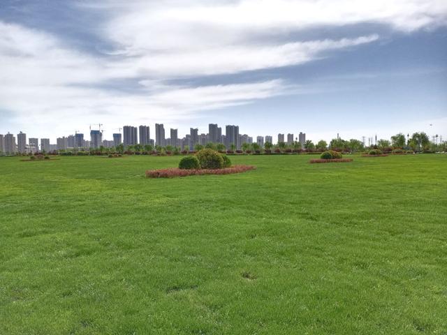 創業東路三角綠化工程實景圖 為了改善咸陽湖二期,兩寺渡公園周邊