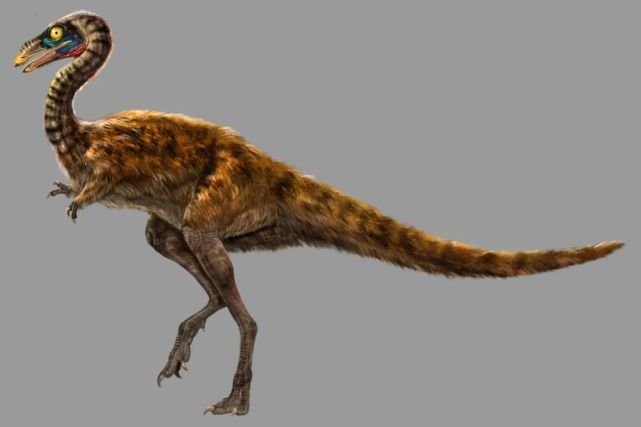 泥潭龙:好奇怪的手型_腾讯新闻