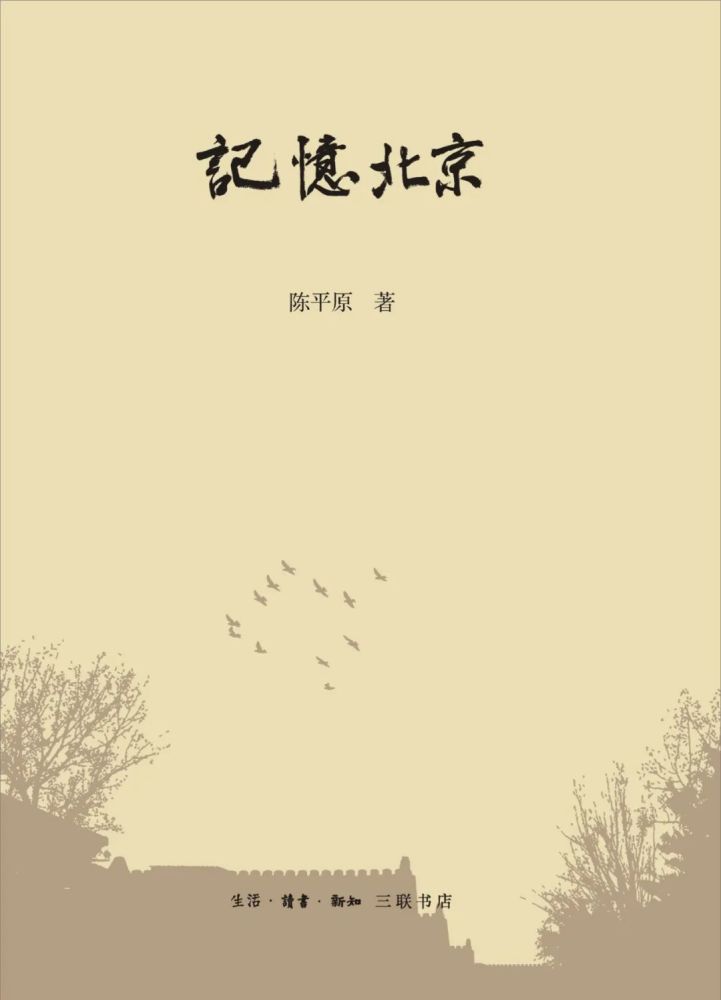 陈平原|陈平原：谁为城市代言