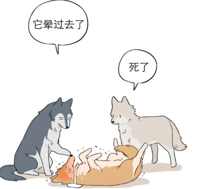 爆笑:当小黄狼跟老大第一次亲密接触,它倒在地上不省人事,这是高兴