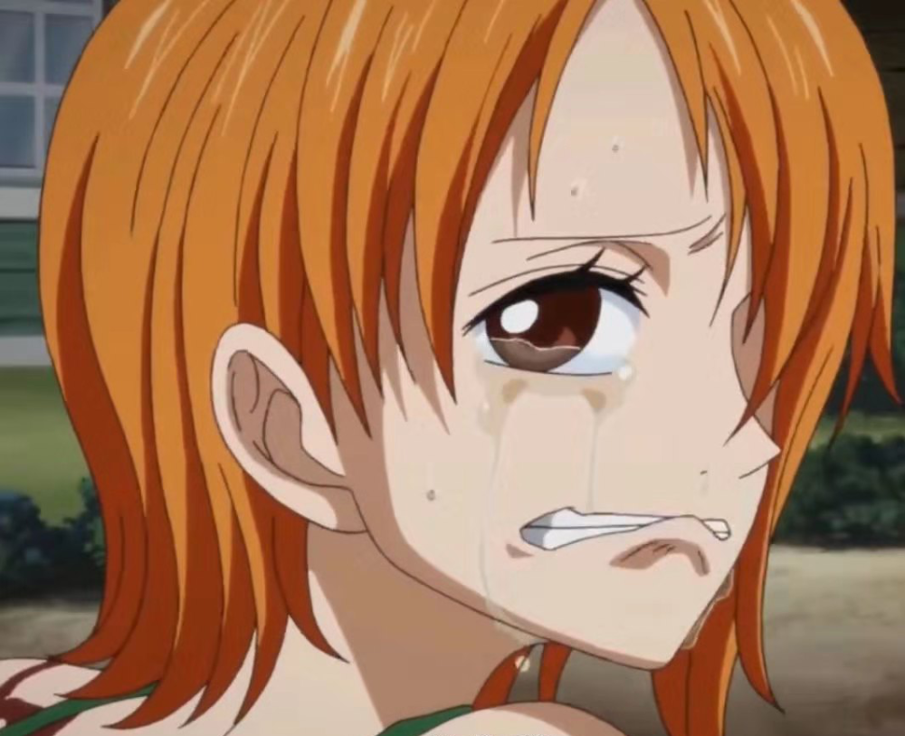 海贼王中娜美的名场面你感动到了吗