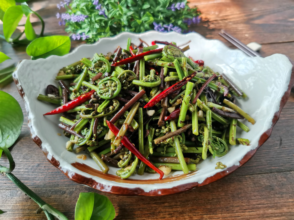 5月,东北吃野生猴腿菜正当季,教你这样做,脆嫩可口比炒的好吃_腾讯新