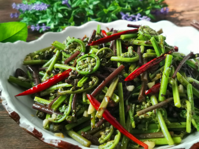 5月东北吃野生猴腿菜正当季教你这样做脆嫩可口比炒的好吃