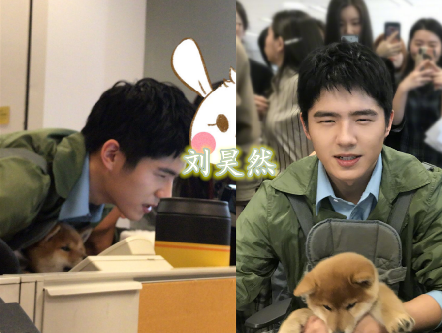 虞书欣的眯眯眼,王嘉尔的眯眯眼,刘昊然的眯眯眼,看到邓伦:眼睛在哪呢