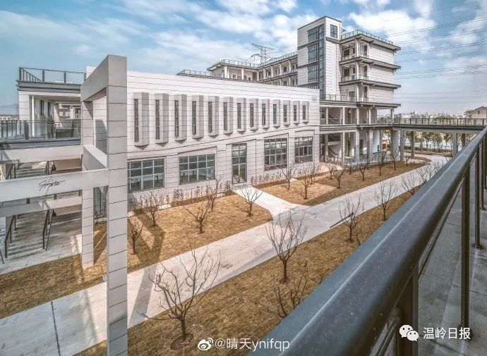 期待期待温岭人家门口的第一所大学开始招生了