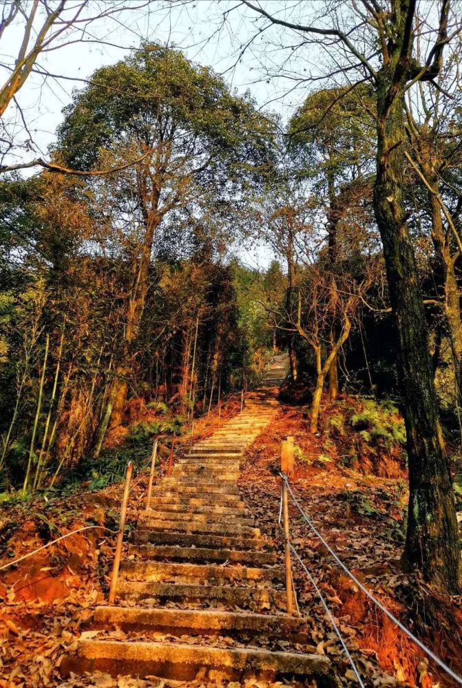 鹿泉南寨森林公园图片