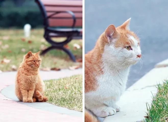 高校|好久不见！昌平高校返校图记