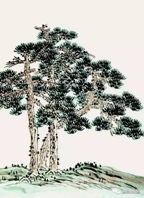 松树画法教程三棵松的画法举要