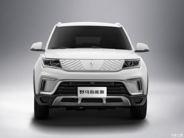 续航达400km 新款野马EC60官图发布