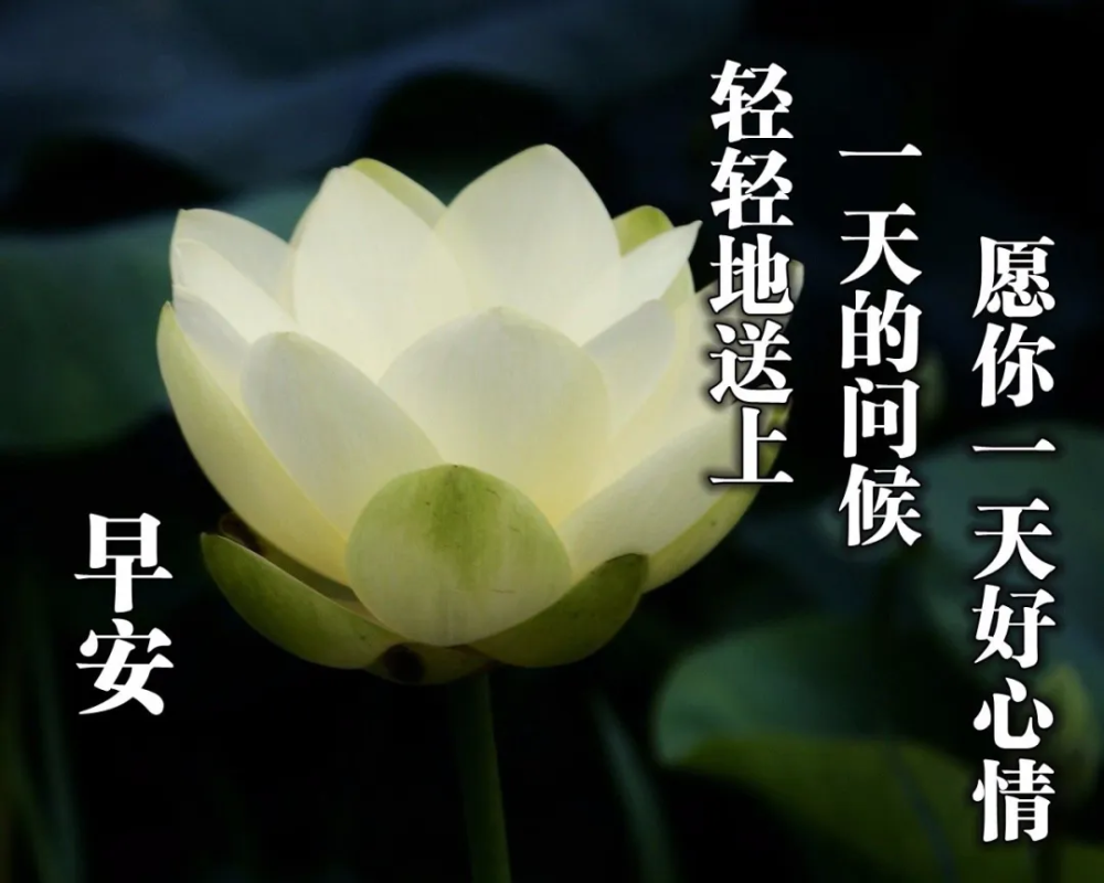 清晨好的图片祝福语 早晨问候语表情大全2021