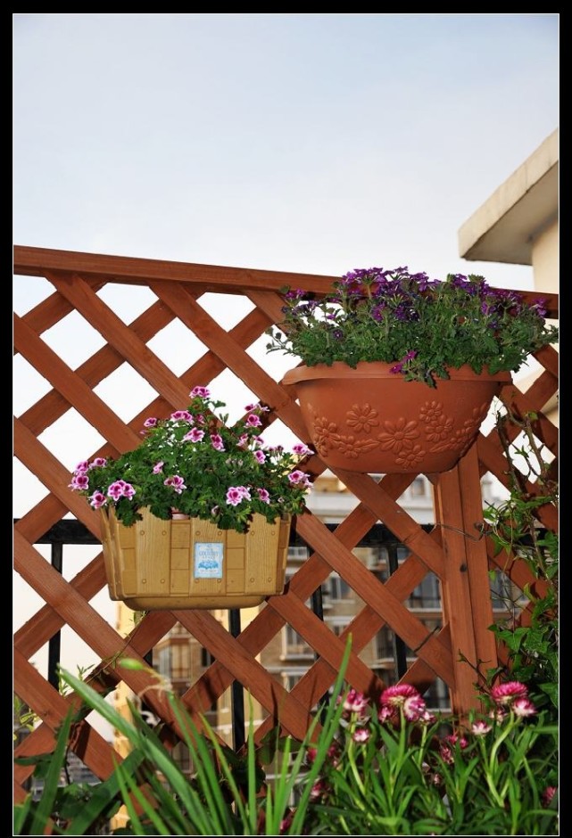 每个花园里都不能缺少这样或那样的装饰或小品,这个,是我的心头爱之一