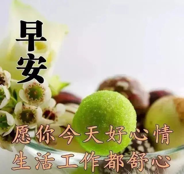 夏季最美麗早安問候圖片鮮花帶字 最新早上好問候語圖片帶字溫馨