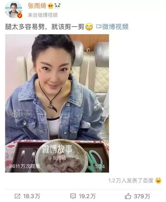 没有人能用好张雨绮