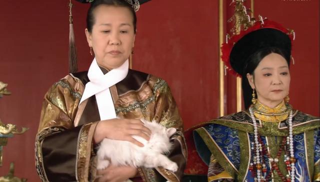 《甄嬛传》甄嬛选秀当天放猫这个细节谁看到了?
