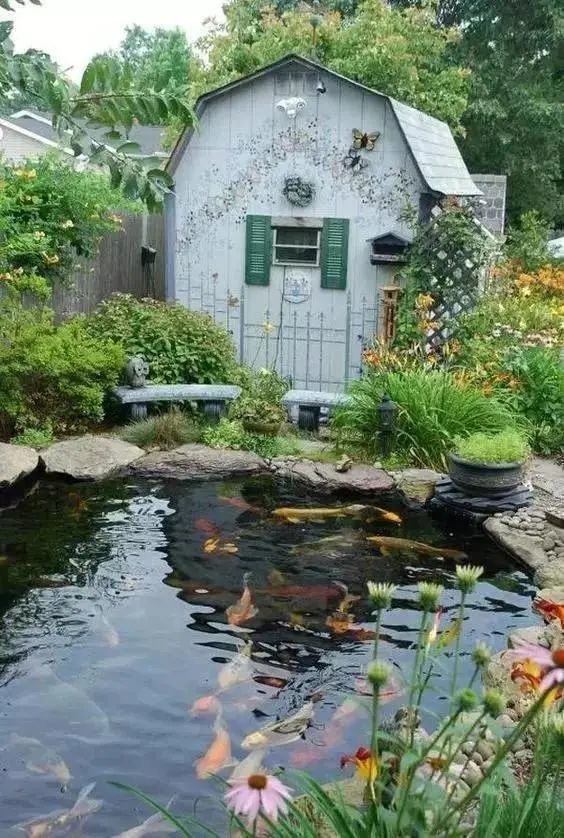 夏日的庭院小池塘,必须要有