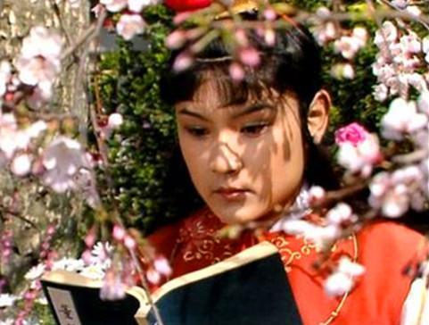 红楼梦|《红楼梦》是世外桃源？错！才子佳人们各有各的世故聪明之处