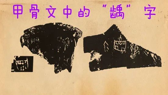 探寻牙痛的秘密——教你摆脱"要命"的牙痛