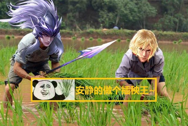 肥马插秧逐渐成为峡谷主流操作变得简单s20上王者靠他了