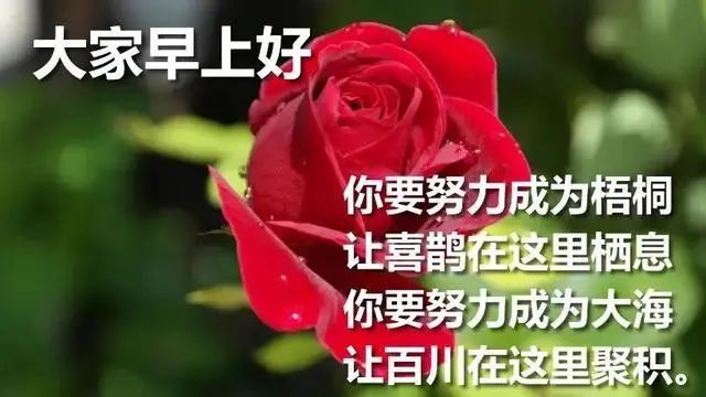 周六适合发朋友圈早安祝福语温馨漂亮早上好问候图带字 祝福语每日精选