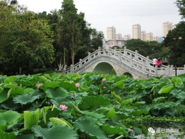 綬溪公園,是許多莆田人 夏季打卡必選之地!