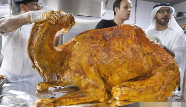 你吃过骆驼肉吗迪拜富豪请客一整只骆驼上桌看完好饿