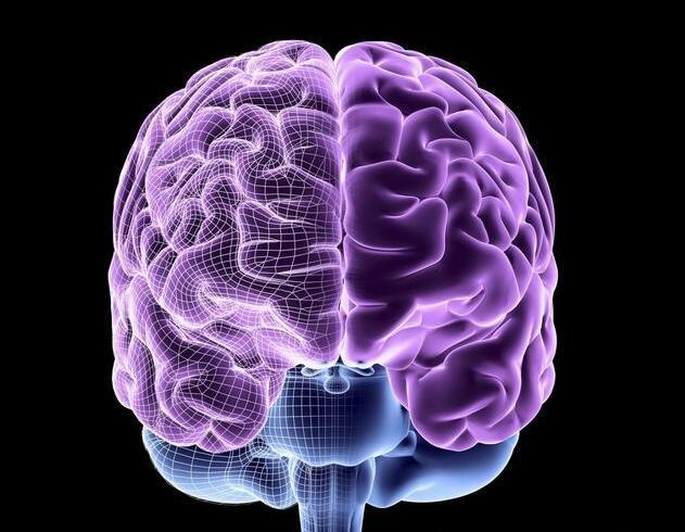 人的面部表情左右不对称是因为大脑功能不对称造成的