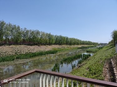营养|中外科学家的最新健康调查