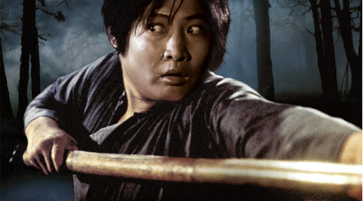 《鬼打鬼》这是一部80年上映,由洪金宝执导,洪金宝,林正英等人主演的