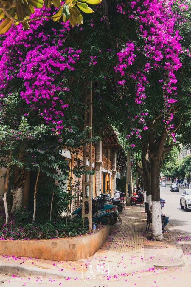 北门书屋|昆明|老街|唐公馆|唐继尧|北门街