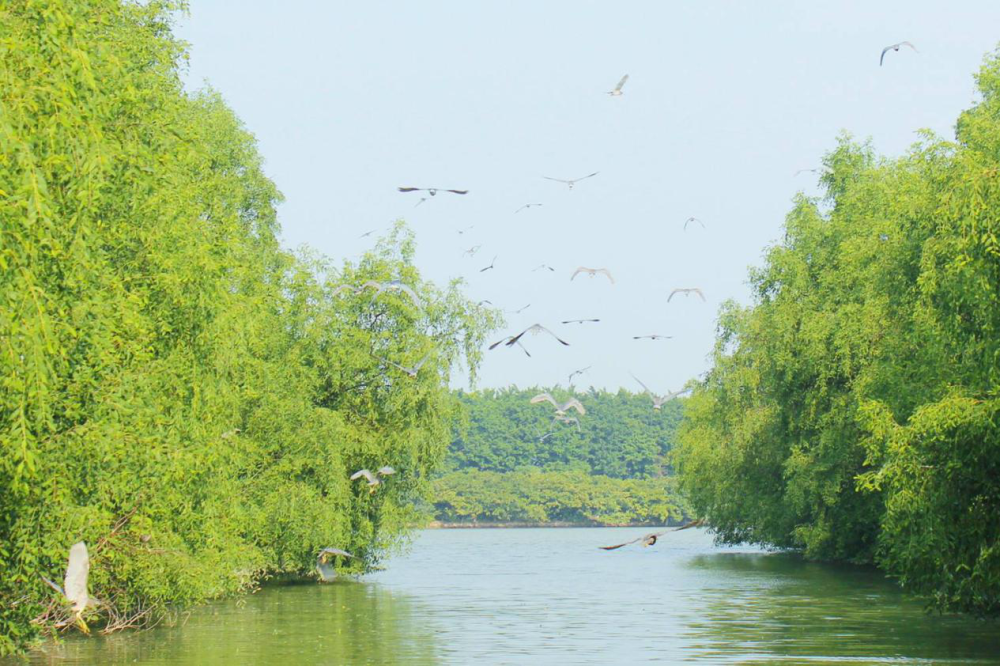 热得不要不要的广东夏天6个避暑天堂一家人走起来