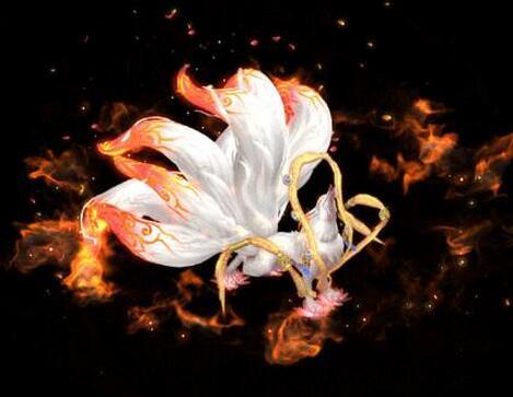 十二星座专属九尾狐图片(十二星座的守护神兽九尾狐图片)