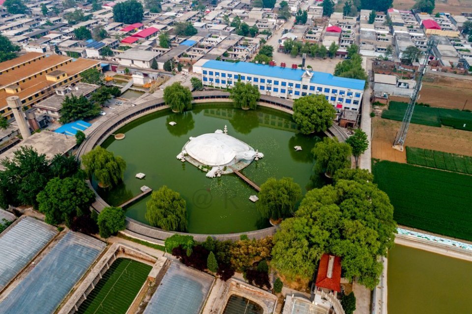 5亿元建东方巨龟苑景区,龟眼睛一只重1.5吨_腾讯新闻