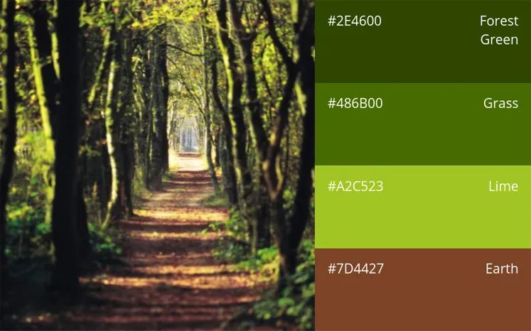 户外自然:森林绿色,草,石灰,土壤06.