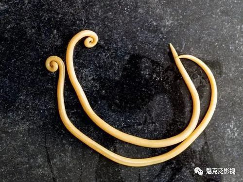 喜欢记得来一个 赶快来分享关注吖