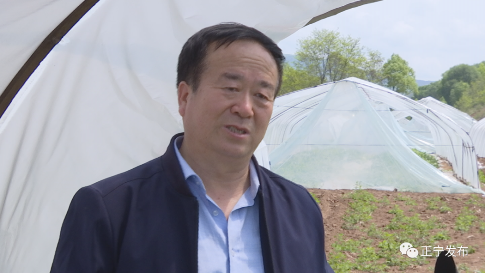 王金国大棚露地种菜模式走出致富新路子