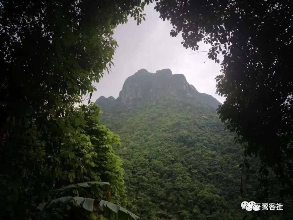 平和南胜大矾山发现高地石垒或与郑成功军队有关
