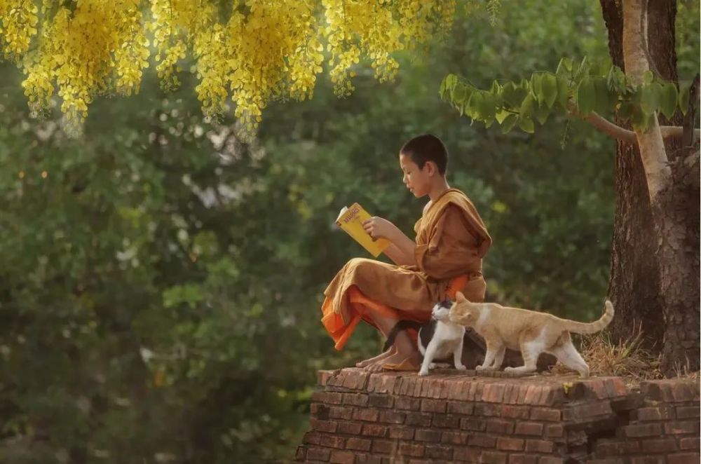 佛弟子居家修行的一天,你能做到几条?