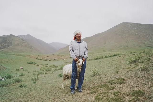 美丽的音符 解海龙 摄影隐藏的岩羊 李德林 摄影雪域昆仑 行摄茫崖