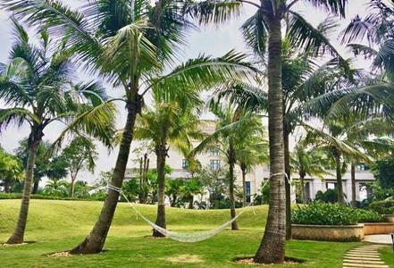 南树北种两败俱伤