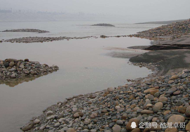 长江路亚钓鱼技巧很难学 T尾软饵全通杀 我能学会吗 路亚 钓鱼技巧 软饵 鱼类 鱼竿