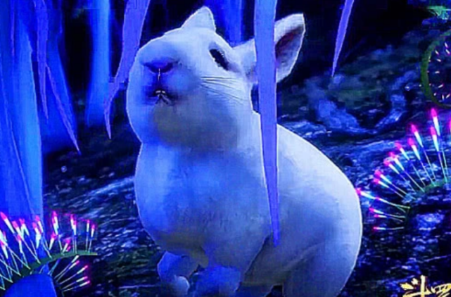 竟也是十万年魂兽!