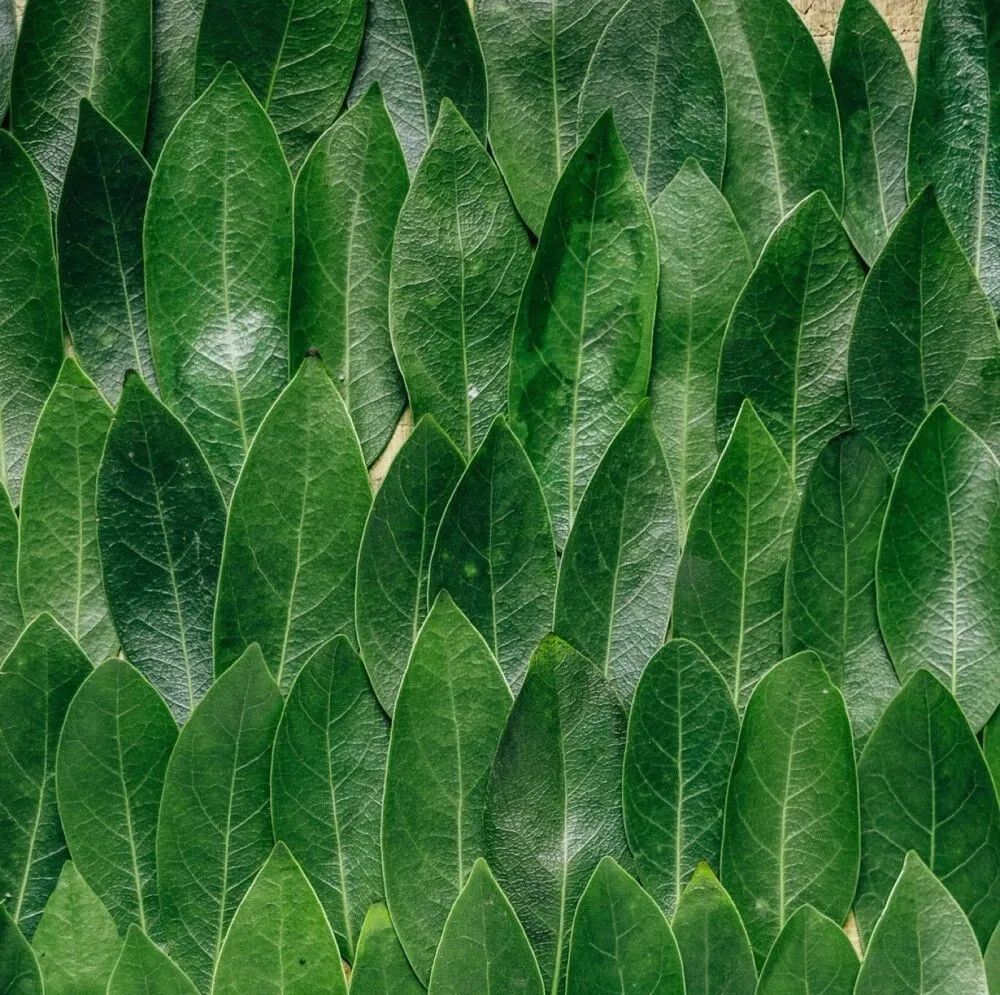 朋友圈背景丨期待今天的晚风和明天的晨曦