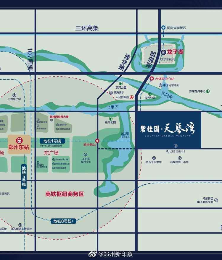 快来碧桂园天琴湾和大v做邻居