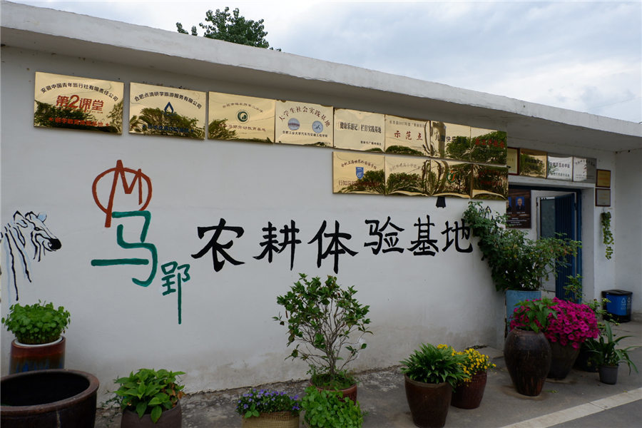 合肥长丰马郢社区打造美丽田园综合体