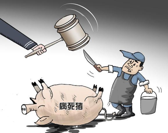 严打生猪私屠乱宰违法调运生猪全国将开展农产品质量安全整治