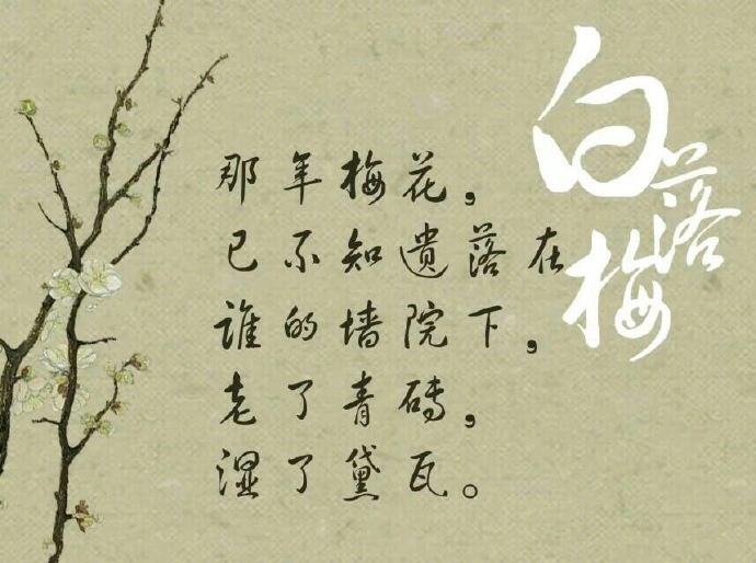 白落梅终于明白有些路只能一个人走