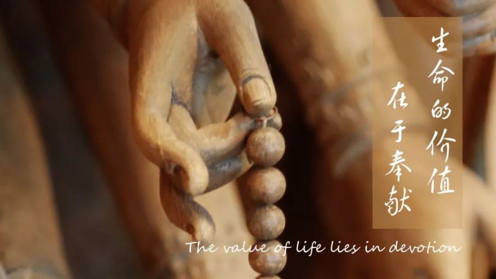 vida|半文钱债 Dívida do Meio Centavo